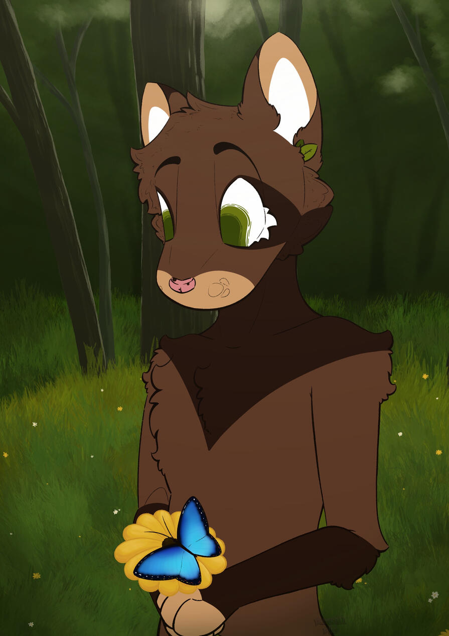 Forest scene